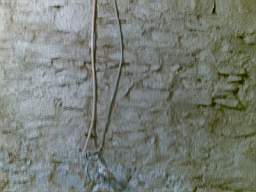 derrygola 1361.jpg